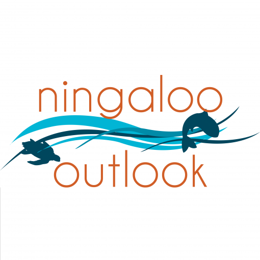 Branding and Logo Design Examples Portfolio Australia - Ningaloo Outlook
