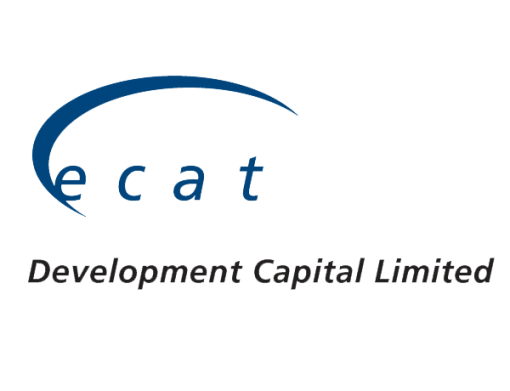 Branding and Logo Design Examples Portfolio Australia - ecat Capital