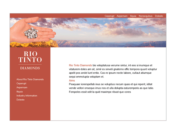 Rio Tinto Website Design Example Perth