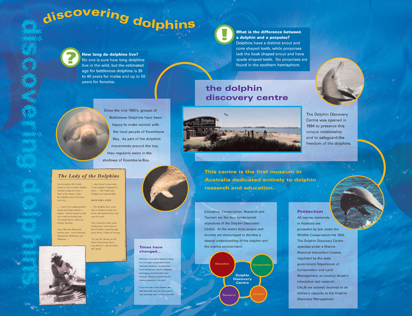 Dolphin Discovery Centre Signage Display