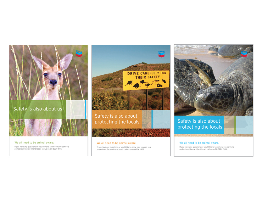 Chevron Brochure & Newsletter Design