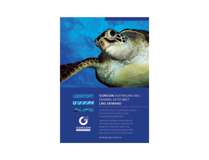 Chevron Brochure & Newsletter Design