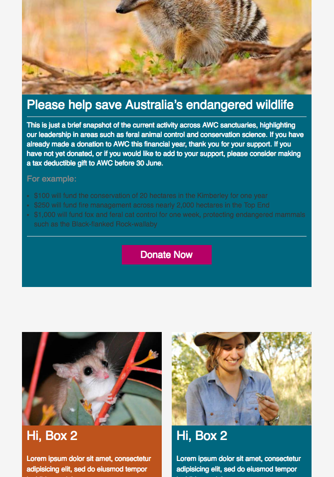 Australian Wildlife Conservancy Brochure & Newsletter Design