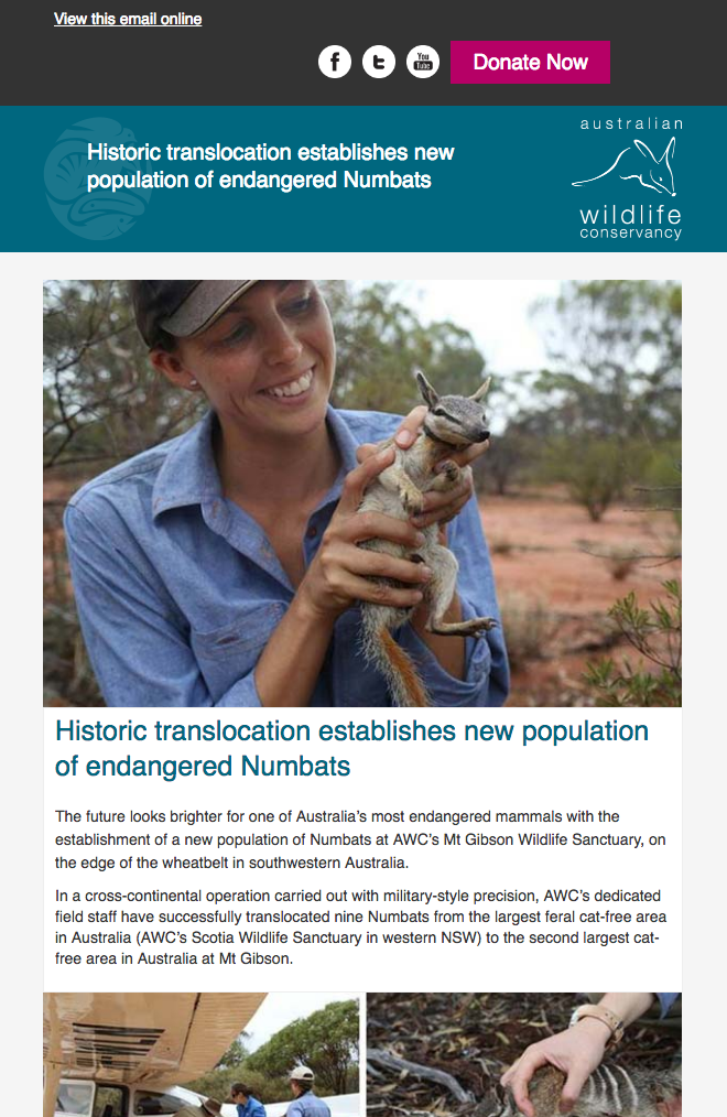 Australian Wildlife Conservancy Brochure & Newsletter Design