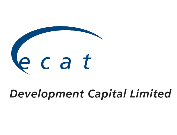ecat Capital Logo Design Perth