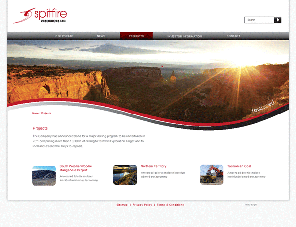 Spitfire - Website Design Example Perth